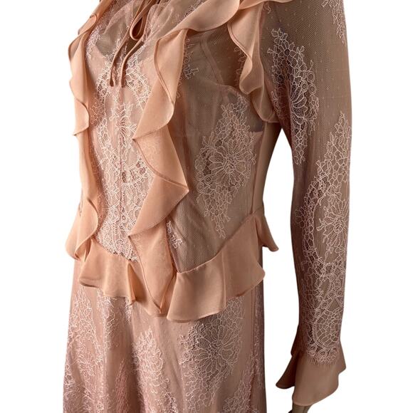 Delfi Collective X Anthropologie Luna Sheer Ruffle Lace Sheath Dress - Picture 6 of 13